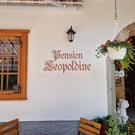 Pension Leopoldine Hallstatt Ngoại thất bức ảnh