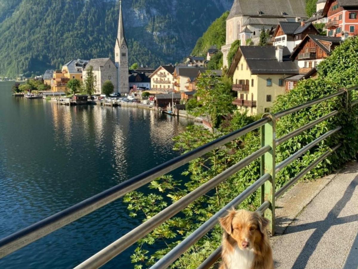 Pension Leopoldine Hallstatt Ngoại thất bức ảnh